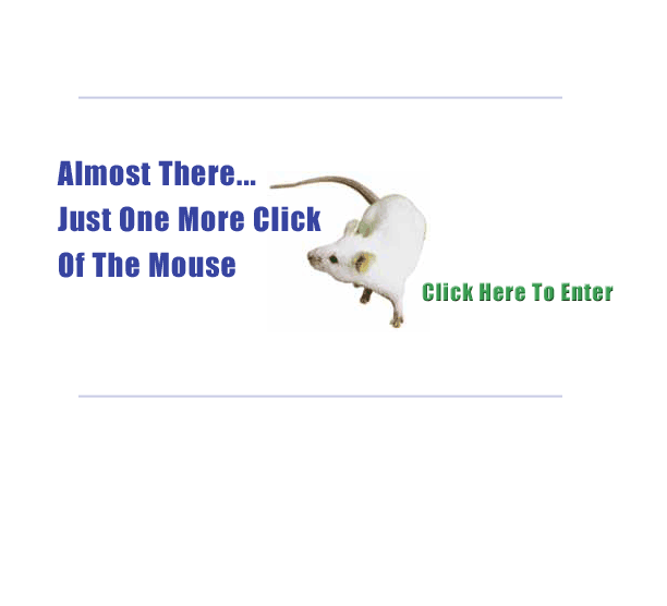 professional wedding photography - click here to enter, senior pictures in middletown ohio, photography jobs mississippi, professional wedding photography for amateurs, wedding photography contract forms, famous portrait photographers