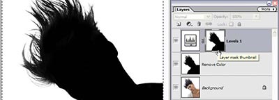 Selecting & Extracting Hair - Masking Tutorial - Extraction   Tips - Photoshop Elements