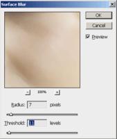 Jean-Sébastien Monzani - Step 3: Apply Surface Blur