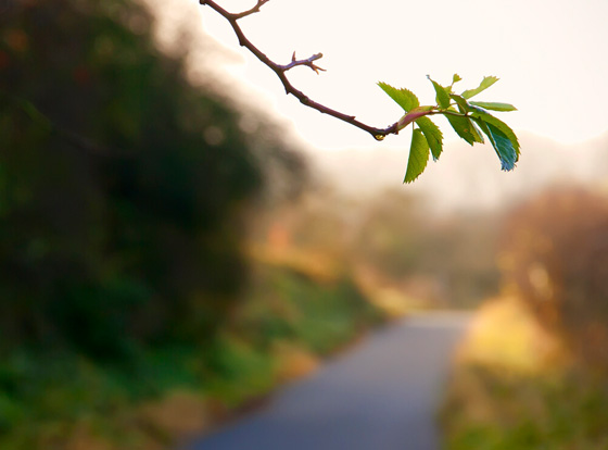 Photography Jobs - The Path to the Successful Career in Photography