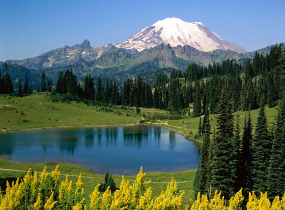 Photographer Career Overview