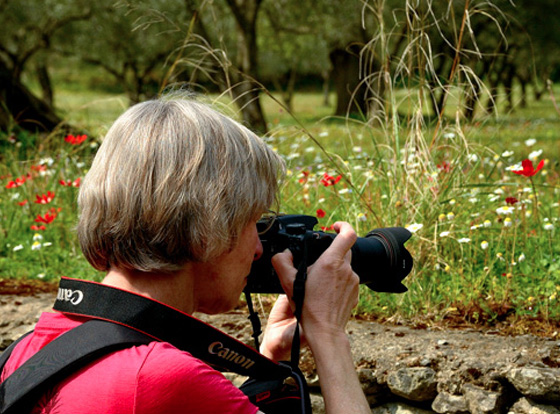 Travel, Take Photos and Earn Money